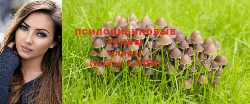 как найти закладки  МЕГА зеркало  Галлюциногенные грибы Psilocybe  Клинцы 